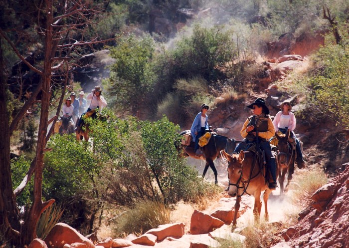Grand Canyon, Arizona