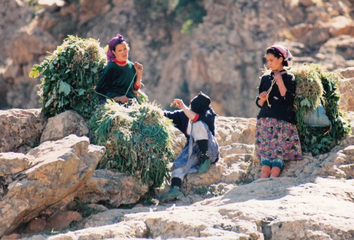 Setti-Fatma